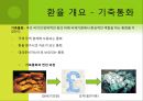 환율과 한국무역 4페이지