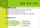 환율과 한국무역 14페이지