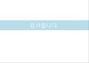 [독일문화의 이해] 독일의 자동차 32페이지