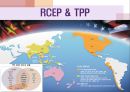 [국제 무역학] RCEP 6페이지