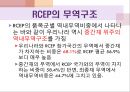 [국제 무역학] RCEP 24페이지