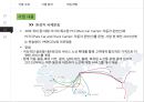 [국제 물류 운송론] 현대 글로비스 11페이지