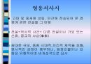 독일중세문학  16페이지