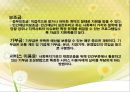 사회복지조직의 재정관리  29페이지