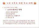 노인가족 복지 15페이지