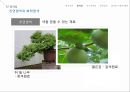 [유아 미술교육][염색기법] 7페이지