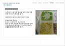 [유아 미술교육][염색기법] 24페이지