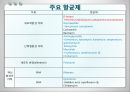 항균요법  4페이지