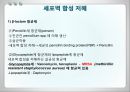 항균요법  5페이지
