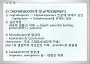 항균요법  6페이지