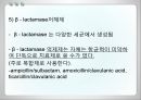 항균요법  7페이지