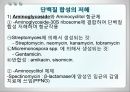 항균요법  8페이지