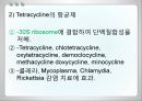 항균요법  9페이지