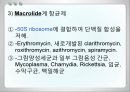 항균요법  10페이지