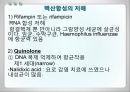 항균요법  12페이지