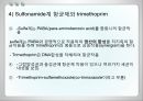 항균요법  15페이지