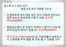항균요법  19페이지