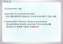 항균요법  20페이지