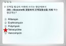 항균요법  27페이지