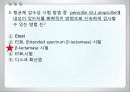 항균요법  28페이지