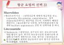 항균요법 프레젠테이션 [항생제 종류][VANCOMYCIN][항균요법](Antimicrobial therapy)[항균 요법의 선택][합성화학요법제][항균제에 대한 내성 기전][항균제에 획득내성을 나타내는 과정] 6페이지