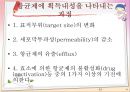항균요법 프레젠테이션 [항생제 종류][VANCOMYCIN][항균요법](Antimicrobial therapy)[항균 요법의 선택][합성화학요법제][항균제에 대한 내성 기전][항균제에 획득내성을 나타내는 과정] 11페이지