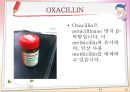 항균요법 프레젠테이션 [항생제 종류][VANCOMYCIN][항균요법](Antimicrobial therapy)[항균 요법의 선택][합성화학요법제][항균제에 대한 내성 기전][항균제에 획득내성을 나타내는 과정] 22페이지