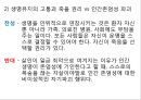 호스피스 중 안락사 시키는 것이 정당한가  15페이지