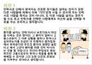 호스피스 중 안락사 시키는 것이 정당한가  17페이지