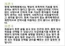 호스피스 중 안락사 시키는 것이 정당한가  19페이지