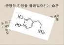 회복탄력성 25페이지