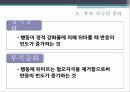 Thorndike & Skinner 행동주의 학습이론 28페이지