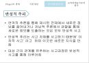 Piaget의 인지발달 35페이지