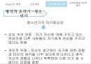 Piaget의 인지발달 37페이지