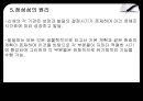 Erikson 자아심리 19페이지