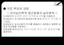 Erikson 자아심리 47페이지