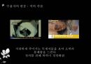 죽음과 자살 20페이지