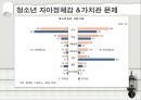청소년 문제 [청소년 비행] 19페이지