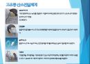 호흡기계 간호 16페이지