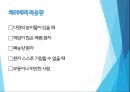 호흡기계 간호 26페이지
