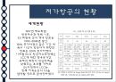저가항공(LCC)의 정의,종류,추세,현황,장점과 단점, 15페이지