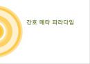 간호이론 [Dorothy E. Johnson][Martha E. Rogers] 70페이지