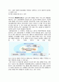 세븐일레븐 경영전략과 물류,SCM전략분석및 세븐일레븐 SWOT분석과 향후전략제안 11페이지