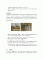 [보육학개론] 흥미영역별 환경구성 - 활동영역 구성의 원리와 효과, 보육실 내 영역 특성에 따른 흥미영역과 영역구성의 실제 6페이지