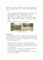 [보육학개론] 흥미영역별 환경구성 - 활동영역 구성의 원리와 효과, 보육실 내 영역 특성에 따른 흥미영역과 영역구성의 실제 7페이지