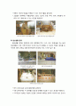 [보육학개론] 흥미영역별 환경구성 - 활동영역 구성의 원리와 효과, 보육실 내 영역 특성에 따른 흥미영역과 영역구성의 실제 11페이지