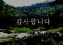 ★ 고전문학과 문화기행 - 울진 왕피천 ( 왕피천 개요, 왕피천 생태 탐방, 왕피천 관리 및 운영, 왕피천 생태 프로그램, 문제점 및 활성화 방안, SWOT분석 및 STP분석 ) 30페이지