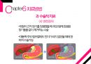 ★ 위암 - 정의, 원인, 증상, 진행단계, 검사방법, 치료방법, 예방법 24페이지