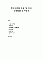 [지역발전론] 참여정부의 국토 및 도시 균형발전 정책평가(비전 및 목표, 중점사업, 관련계획 및 법률검토, 추진주체, 재정지원, 성과와 한계) 1페이지