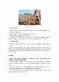 ★ 요약발제 - 예술사회학 ( 순수예술에서 대중예술까지 ) 4페이지